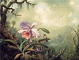 Martin Johnson Heade Heliodore's Woodstar and a Pink Orchid painting